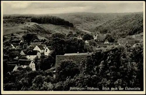 Ansichtskarte Breitungen Südharz  nach der Eichenleithe 1929  gel. Bahnpost