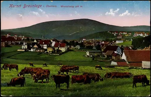 Ansichtskarte Braunlage Lühe, Stadt - Wurmberg 1916