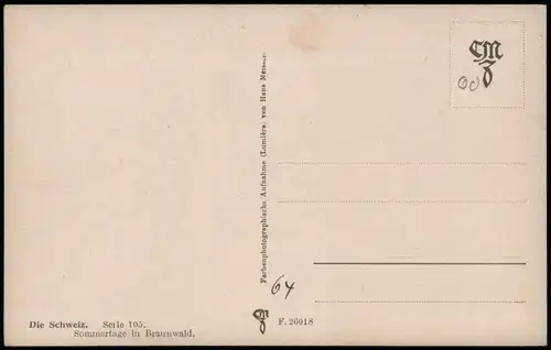 Ansichtskarte .Schweiz Die Schweiz Sommertage in Braunwald 1920