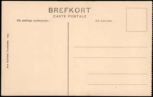 Trollhättan Parti af Kraftkanalen med Stängluckan Götalands 1922