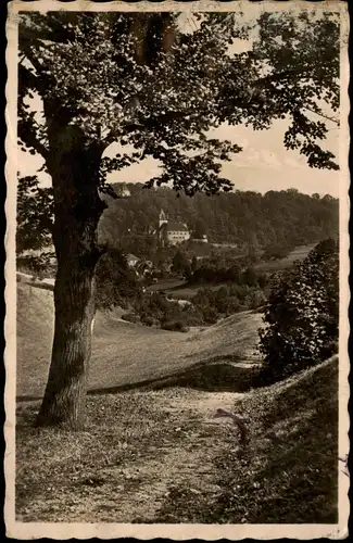 Ansichtskarte Liebstadt Baum Blick auf Schloß Kuckuckstein - Fotokarte 1934