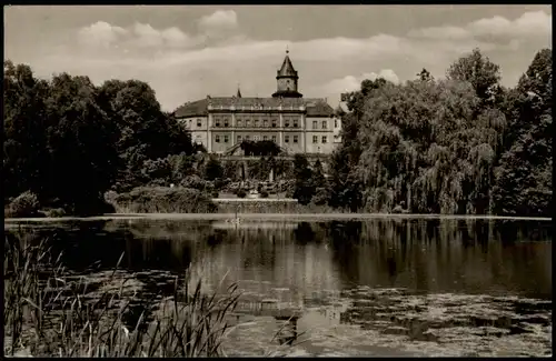 Ansichtskarte Wiesenburg/Mark Schloss Wiesenburg - Teich 1962