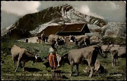 Garmisch-Partenkirchen Bäuerin Kuhherde Hochalm - Color-Fotokarte 1959