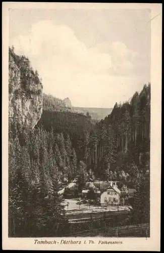 Ansichtskarte Tambach-Dietharz Falkenstein 1922