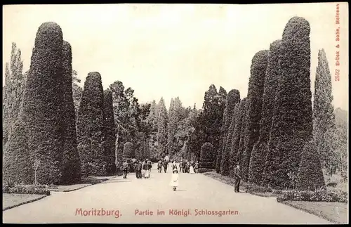 Ansichtskarte Moritzburg Schloßgarten - REPRO 1912/1995