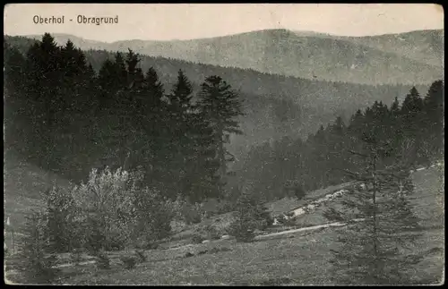 Ansichtskarte Oberhof (Thüringen) Obragrund 1912
