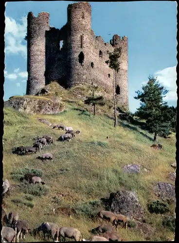 CPA .Frankreich Le château d'Alleuze, Schloss in Frankreich 1961