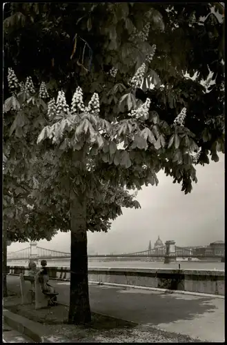 Postcard Budapest Donauansicht, Panorama of the Danube 1970