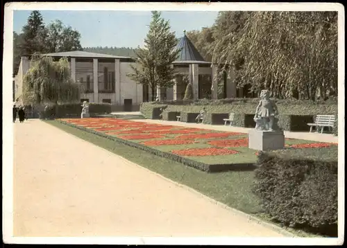 Ansichtskarte Bad Elster Partie im Park 1960