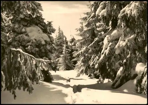 Ansichtskarte  DDR Glückwunsch Karte zu Weihnachten und Neujahr 1960