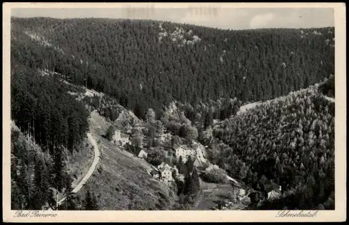 Postcard Bad Reinerz Duszniki-Zdrój Schmelzebach 1933