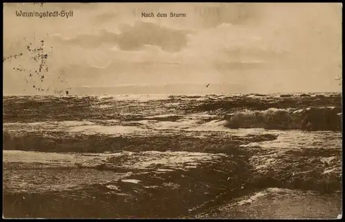 Ansichtskarte Wenningstedt-Braderup (Sylt) Nach dem Sturm 1917