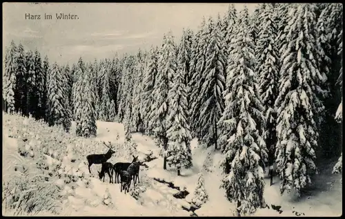 Ansichtskarte .Niedersachsen Harz im Winter - Rehe 1915  gel. Feldpost Ilsenburg