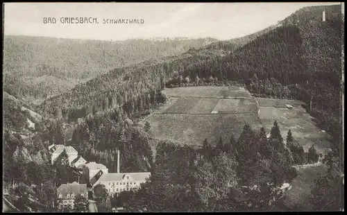 Ansichtskarte Bad Peterstal-Griesbach Blick auf die Stadt 1924
