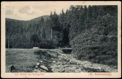 Ansichtskarte Sankt Andreasberg-Braunlage Die Sieber bei Königshof 1913