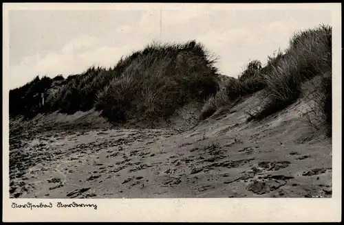Ansichtskarte Norderney Strand, Dünen 1932