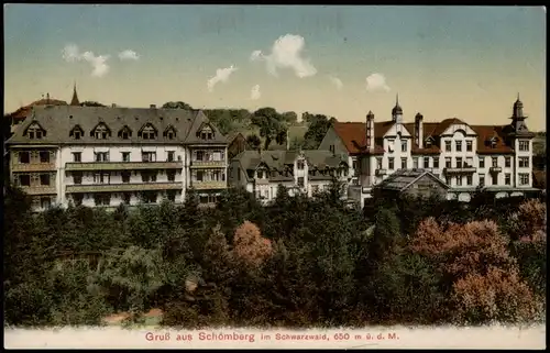 Ansichtskarte Schömberg (Schwarzwald) Stadtpartie 1911