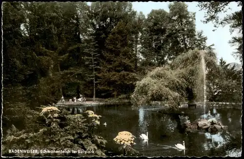 Ansichtskarte Badenweiler Schwanenteich im Kurpark 1965