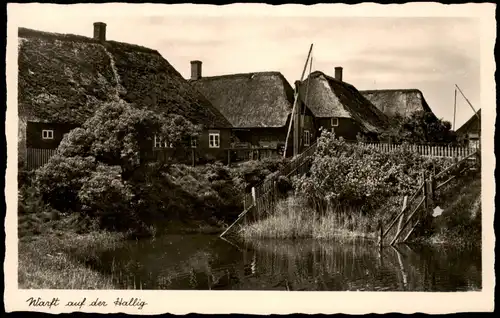 Ansichtskarte Hallig Hooge warft auf der Hallig 1934