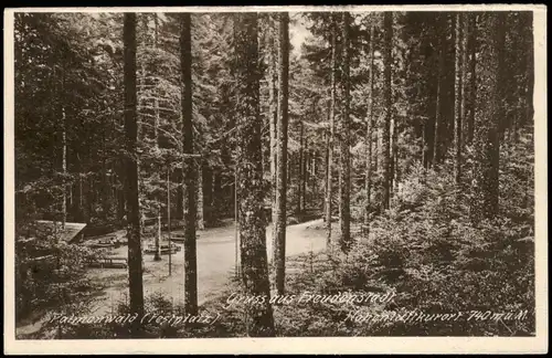 Ansichtskarte Freudenstadt Festplatz - Palmenwald 1928