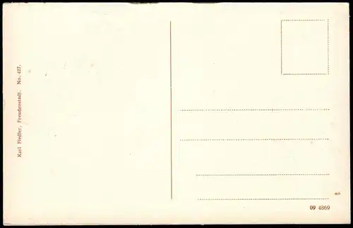 Ansichtskarte Freudenstadt Festplatz - Palmenwald 1928