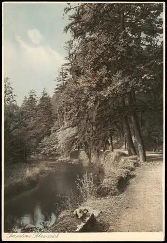 Ansichtskarte Mittleres Schwarzatal Partie im Unteren Schwarzatal 1950