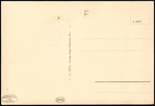 Ansichtskarte Mittleres Schwarzatal Partie im Unteren Schwarzatal 1950