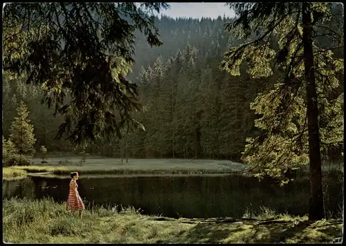 Ansichtskarte .Baden-Württemberg Ellbachsee im Nordschwarzwald 1962