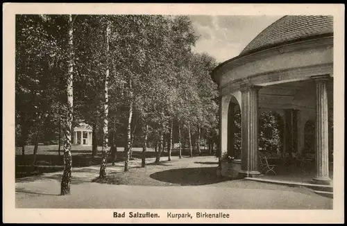 Ansichtskarte Bad Salzuflen Kurpark, Birkenallee 1926