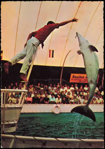 Ansichtskarte Duisburg Tierpark Zoo Delphin Schau 1970