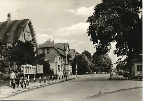 Rerik Leuchtturmstraße, Personen, Häuser-Ansichten, DDR AK 1963