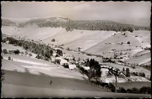 Ansichtskarte Todtnauberg Panorama-Ansicht Blick zum Stübenwasen 1957