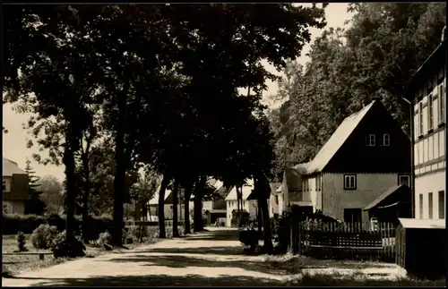 Rechenberg-Bienenmühle Hauptstraße Blick auf Wohnhäuser DDR AK 1966