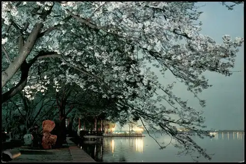 Hangzhou Hangchow 杭州 Autumn Moon Calm Lake 1987   gel China Mehrfach-Frankatur