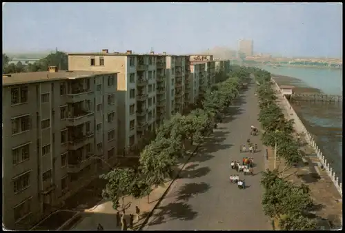 Guangzhou / Kanton 廣州市 / 广州市 Residential Quarters in Pin Kiang RoadChina 1980