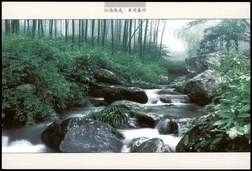 China (Allgemein) 开春行 Spring Bamboo in Jinggang China Ganzsachen-Postkarte 2000