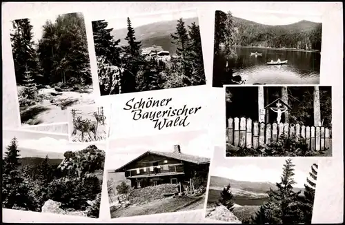 Ansichtskarte Arber (Bayr. Wald) Mehrbild: Umland, Bauden 1969