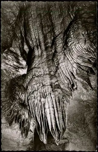 Ansichtskarte Ahorntal Sophienhöhle (Fränkische Schweiz) Großer Adler 1961