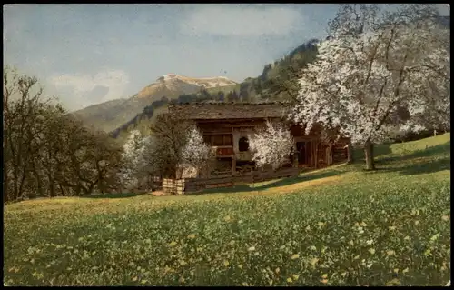 Ansichtskarte  Stimmungsbild: Frühling Haus - Frühjahrsblüte 1913