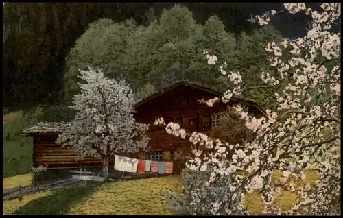 Ansichtskarte  Stimmungsbild: Frühling - Berghütte - blühende Bäume 1913