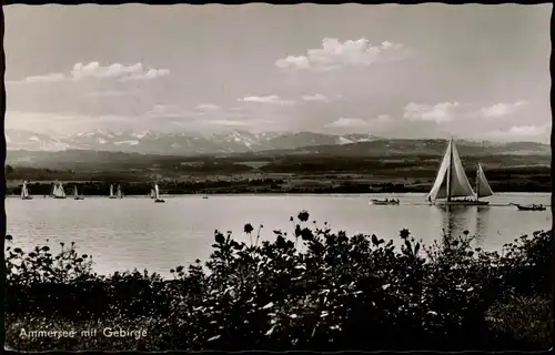 Ansichtskarte .Bayern Ammersee, Segelboote - Gebirge 1952