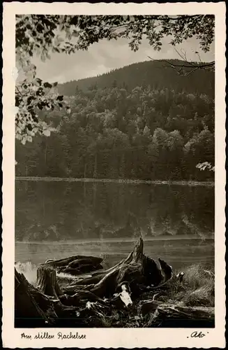 Sankt Oswald-Riedlhütte Rachelsee (Bayrischer Wald) Naturschutzgebiet 1952/1954