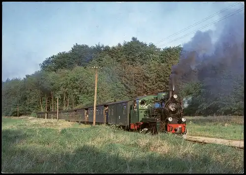 Ansichtskarte  Personenzug mit Dampflok 52M am Haltepunkt Garftitz 1993