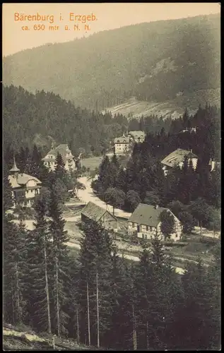 Ansichtskarte Bärenburg-Altenberg (Erzgebirge) Stadtpartie 1912