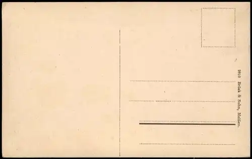 Ansichtskarte Bärenburg-Altenberg (Erzgebirge) Stadtpartie 1912