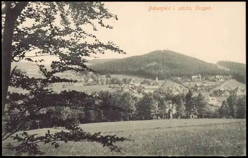 Ansichtskarte Bärenburg-Altenberg (Erzgebirge) Stadtpartie 1911