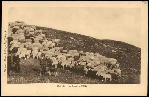 CPA .Frankreich Sur les Monts JURA, Schafe mit Schäfer 1920