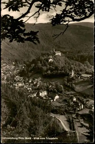 Ansichtskarte Schwarzburg Panorama-Blick v. Trippstein DDR AK 1957