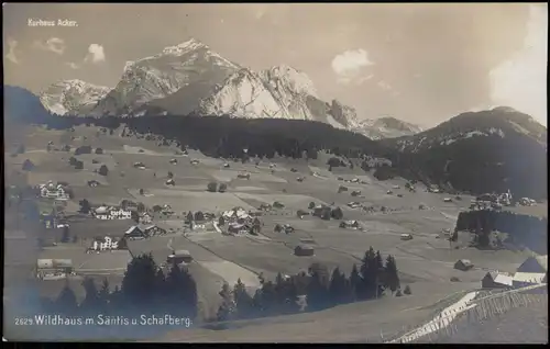 Ansichtskarte Wildhaus SG Panorama Wildhaus m. Säntis u. Schafberg 1920