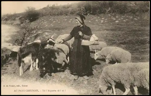 CPA .Frankreich AU PAYS CREUSOIS, Füttern von Schafen 1910